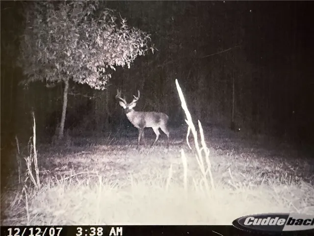 $1,250,000 | 877 McKee Road, Waverly Hall, GA 31831