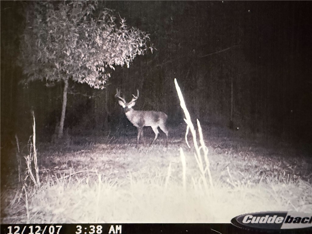 877 McKee Road Waverly Hall, GA 31831 - Photo 80 of 85