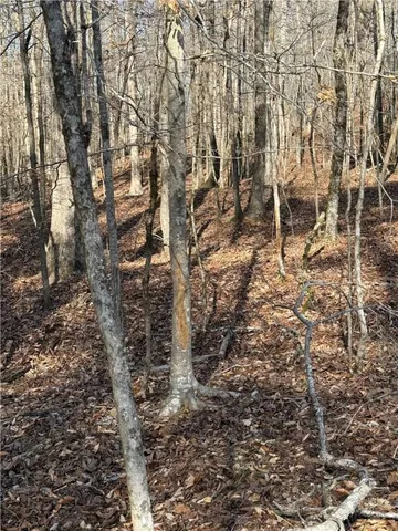 $1,250,000 | 877 McKee Road, Waverly Hall, GA 31831