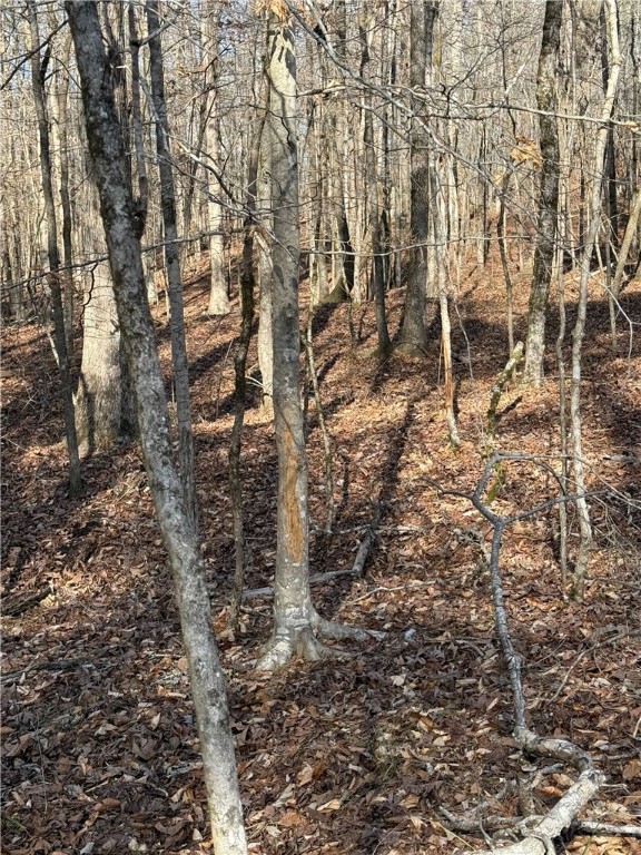 877 McKee Road Waverly Hall, GA 31831 - Photo 83 of 85