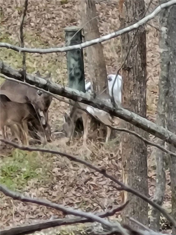 877 McKee Road Waverly Hall, GA 31831 - Photo 84 of 85