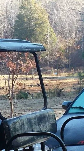 $1,250,000 | 877 McKee Road, Waverly Hall, GA 31831