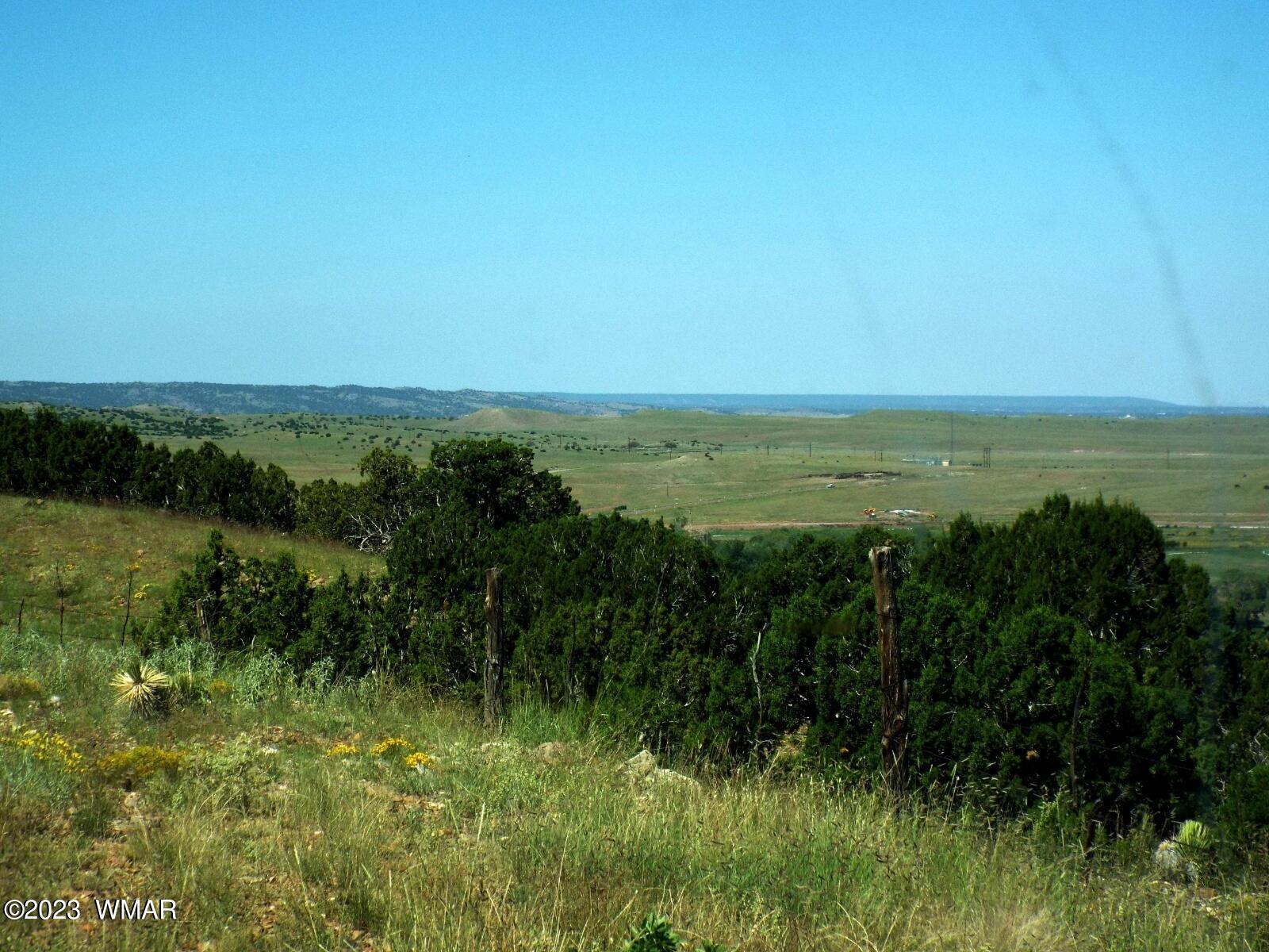 Resized_Resized_concho3