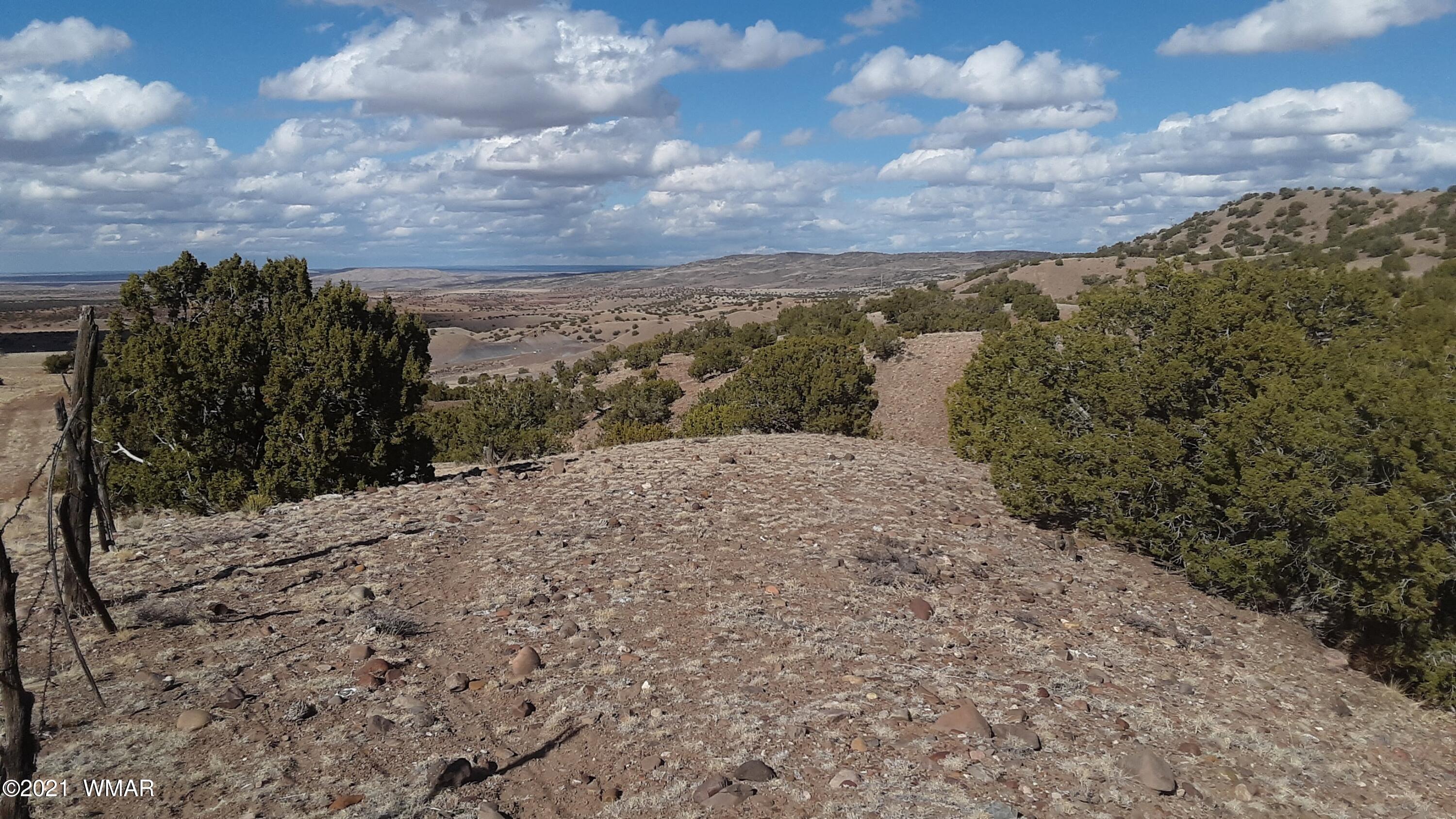 2 County Road Concho, AZ 85924 - Photo 11 of 35 20210309_151717