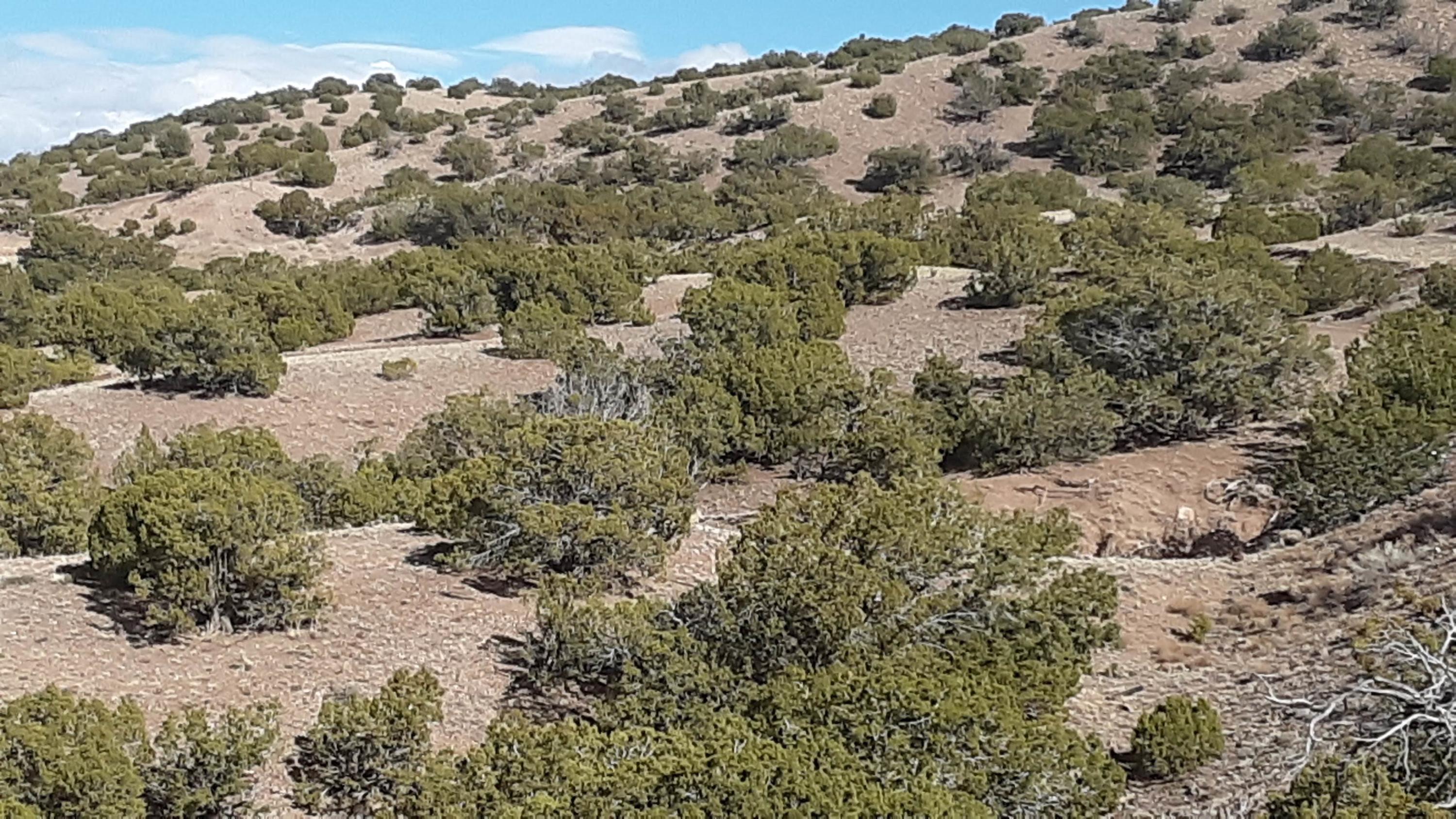 2 County Road Concho, AZ 85924 - Photo 12 of 35 20210309_151746