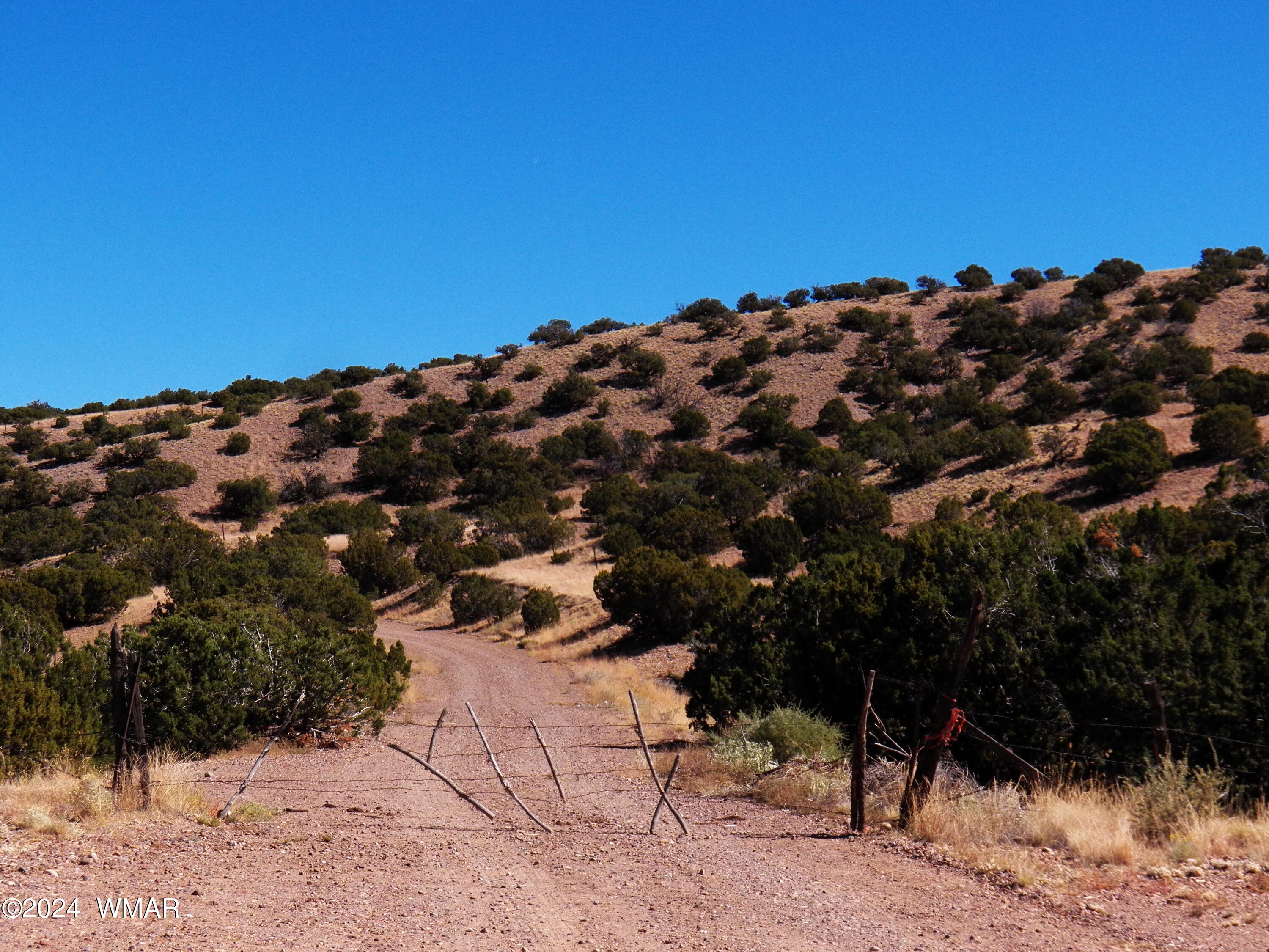 2 County Road Concho, AZ 85924 - Photo 14 of 35 101_8272