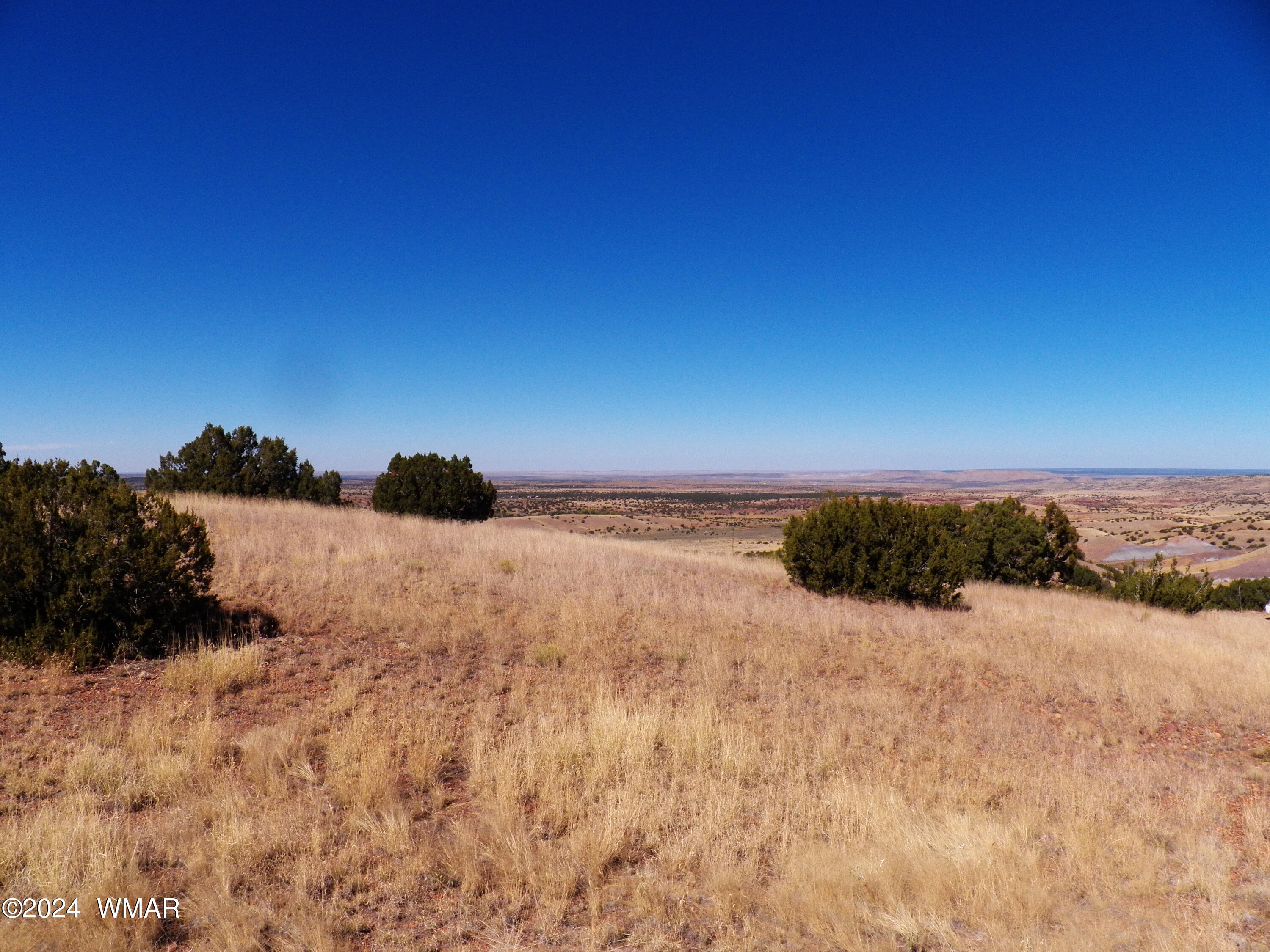 2 County Road Concho, AZ 85924 - Photo 18 of 35 101_8283