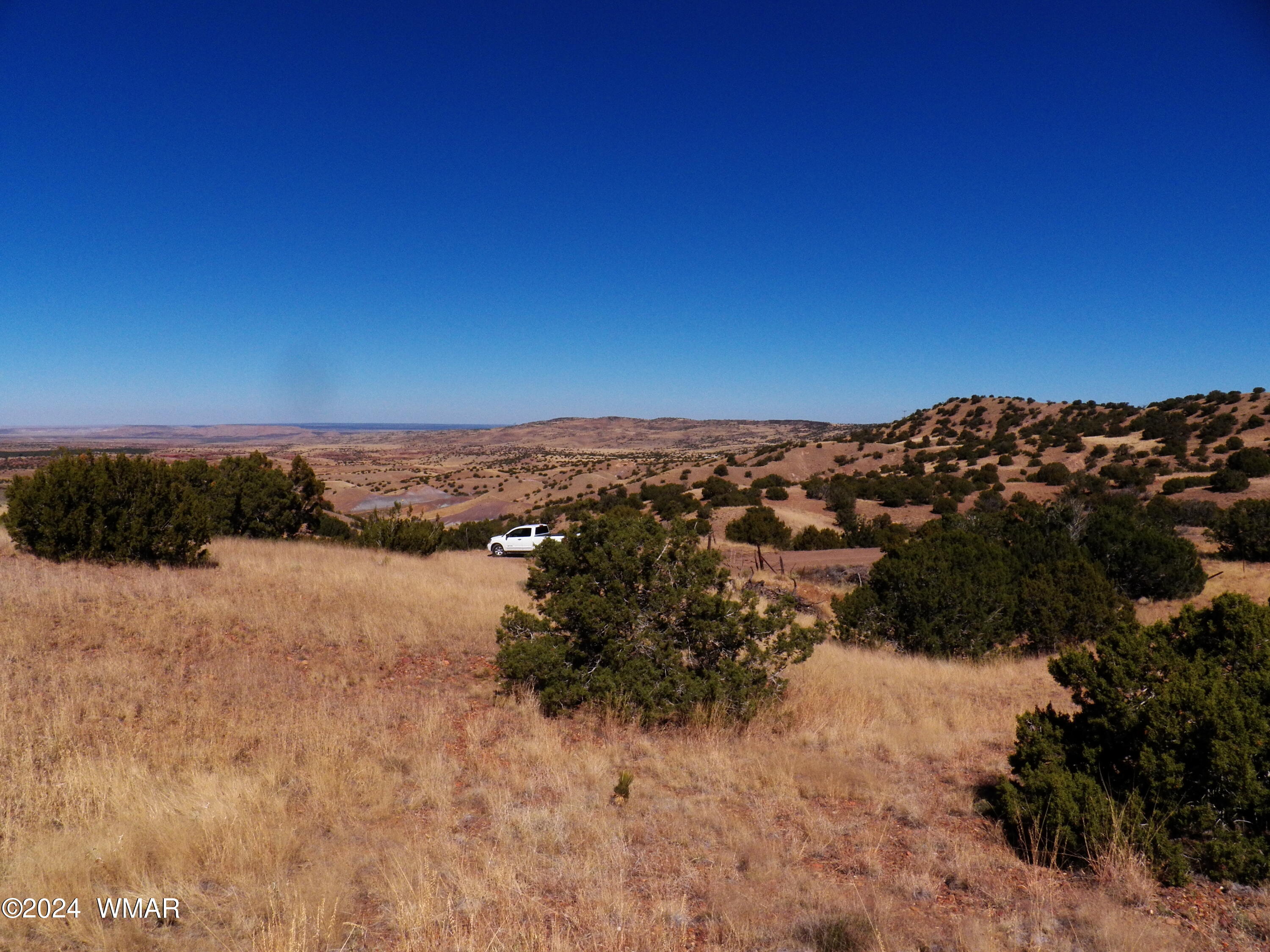 2 County Road Concho, AZ 85924 - Photo 19 of 35 101_8285
