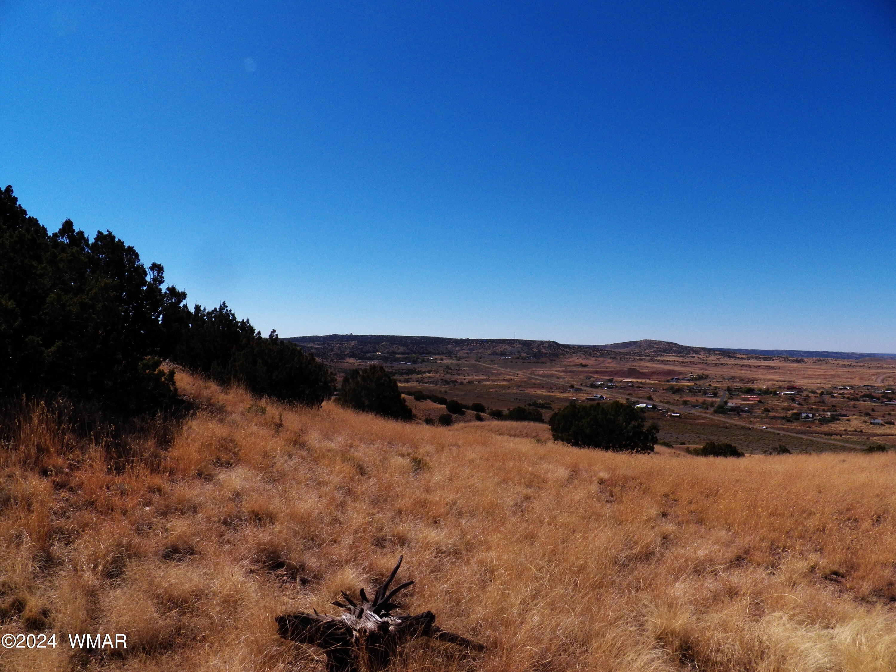 2 County Road Concho, AZ 85924 - Photo 20 of 35 101_8286
