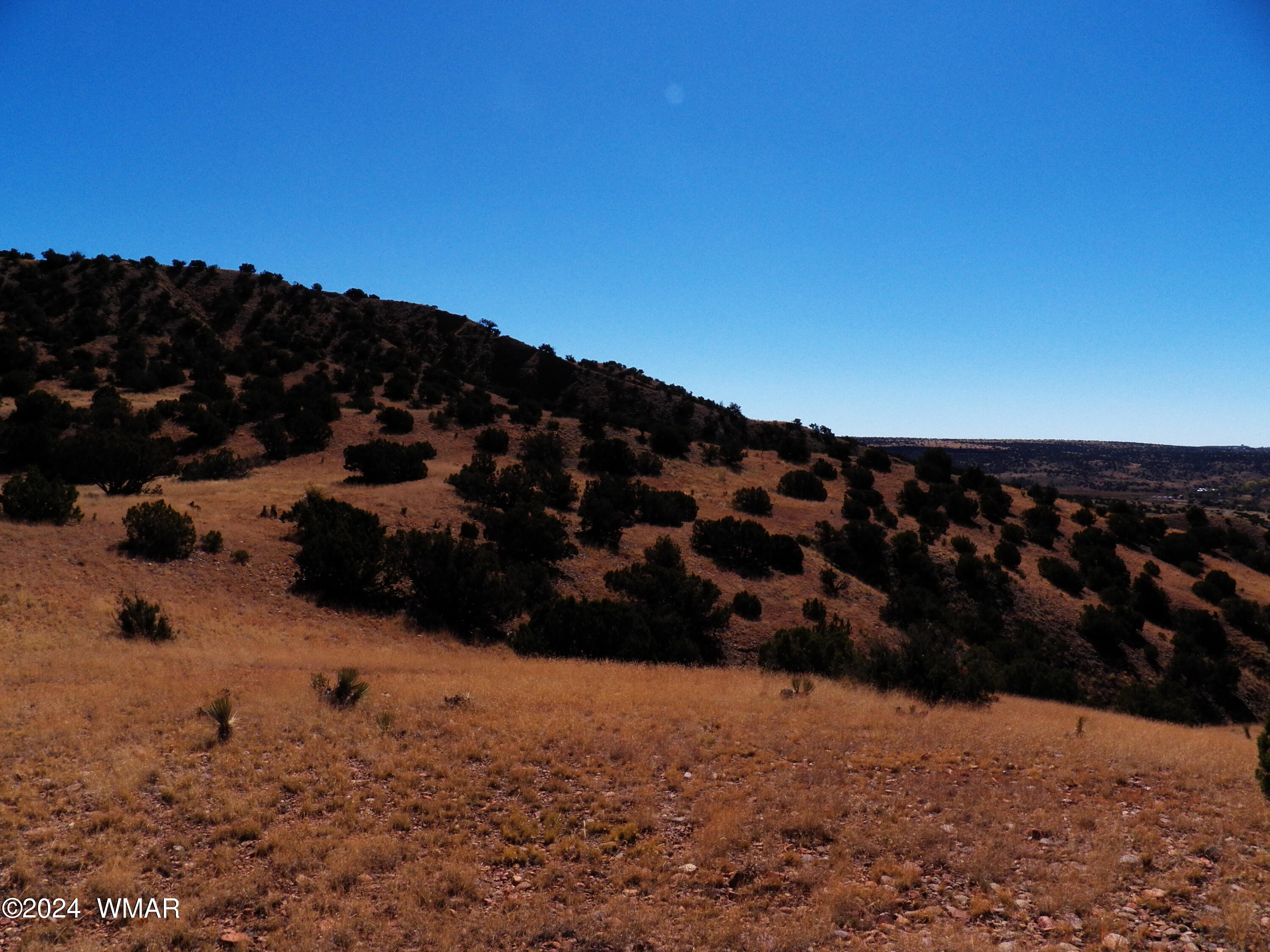 2 County Road Concho, AZ 85924 - Photo 21 of 35 101_8293