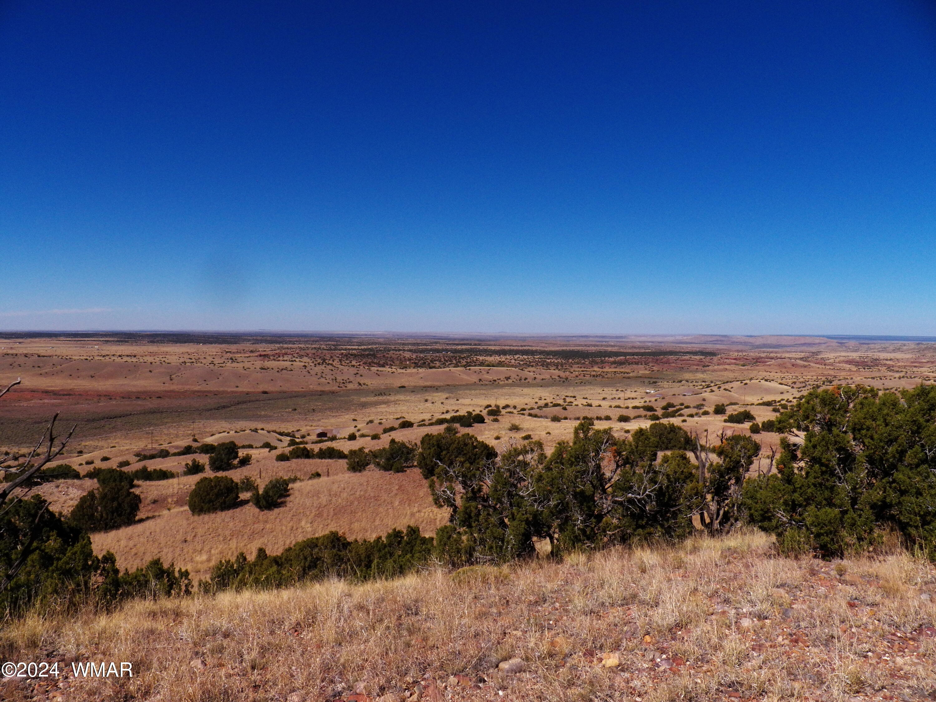 2 County Road Concho, AZ 85924 - Photo 22 of 35 101_8298