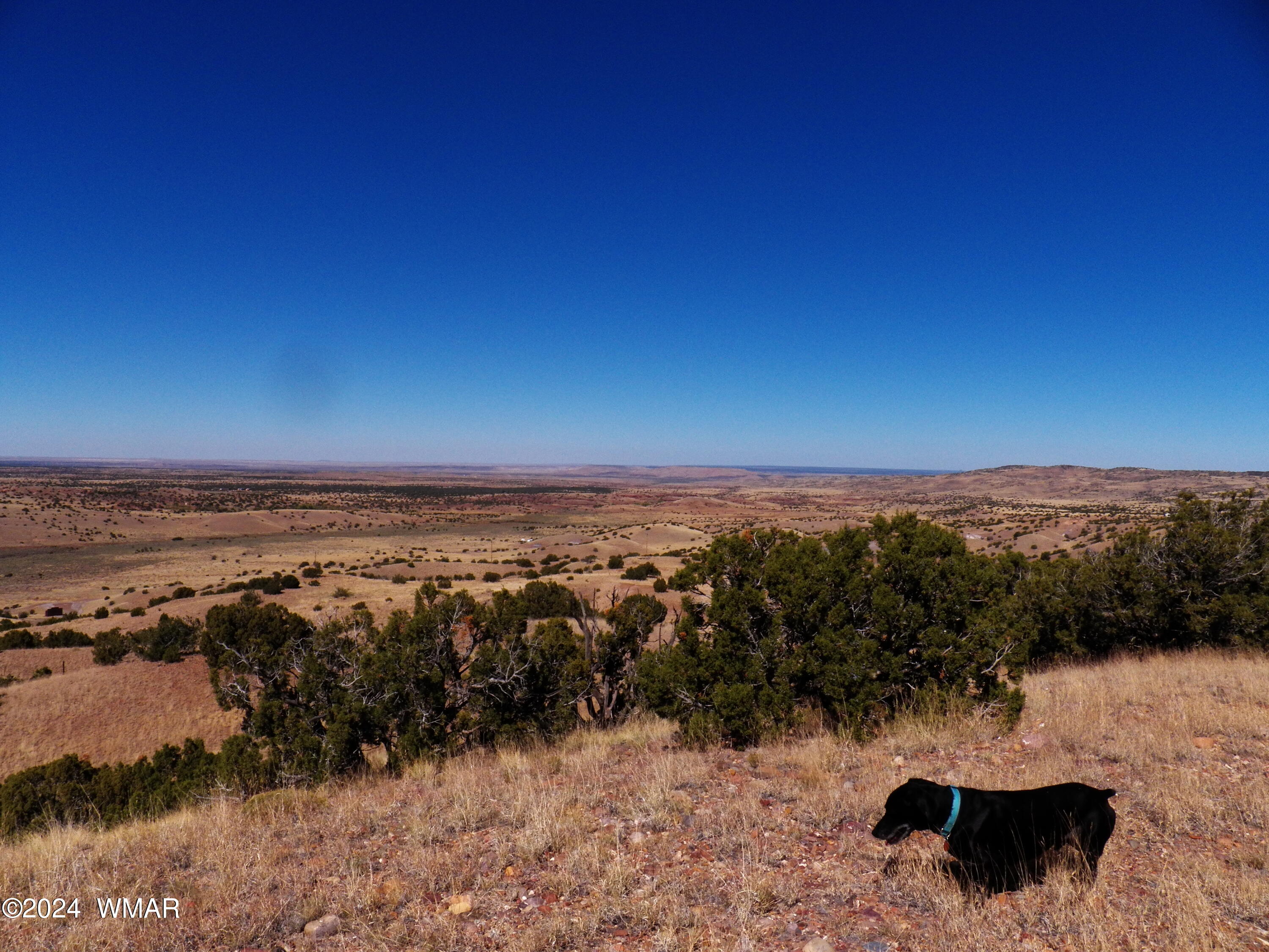 2 County Road Concho, AZ 85924 - Photo 23 of 35 101_8299