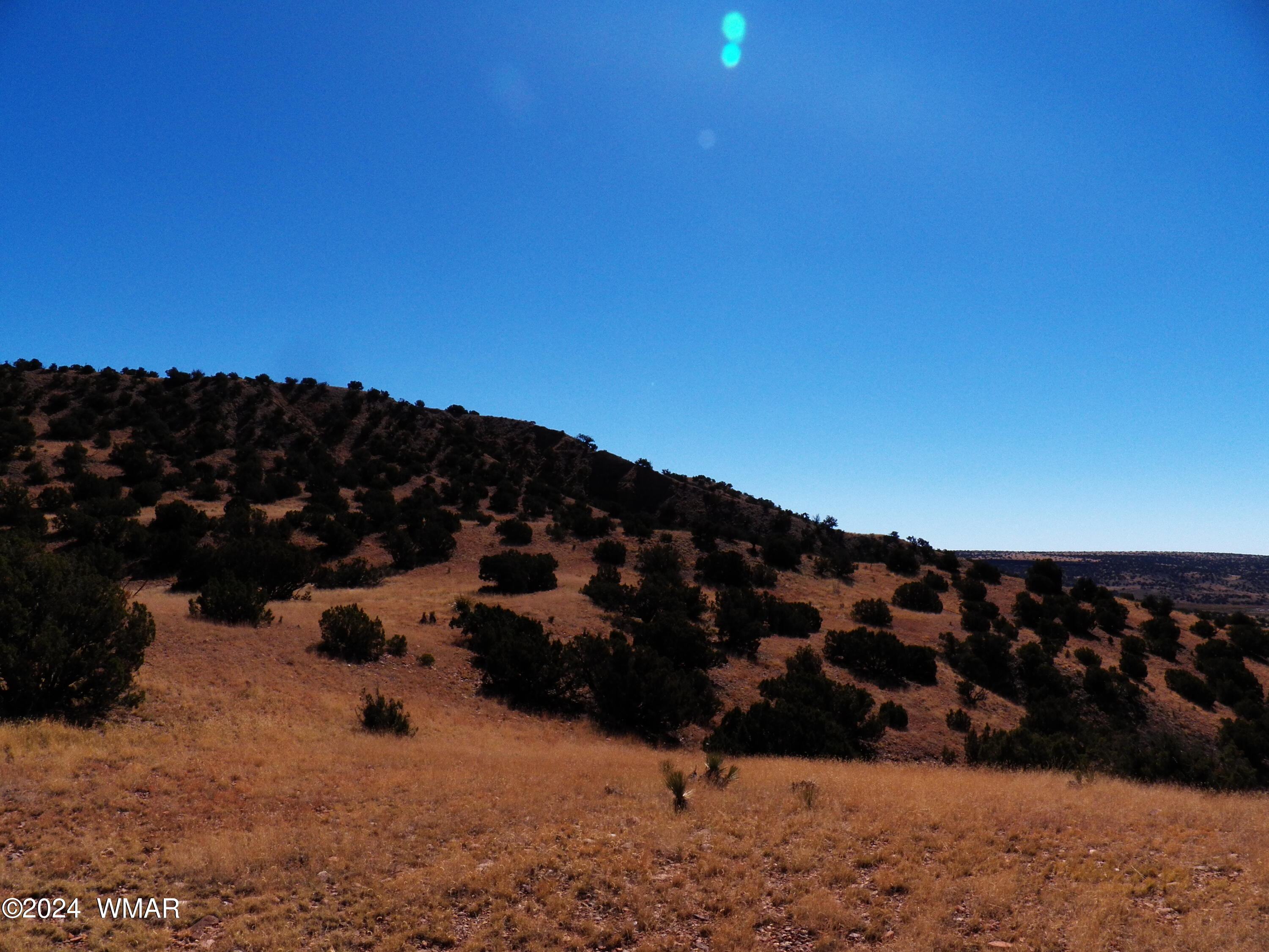 2 County Road Concho, AZ 85924 - Photo 24 of 35 101_8304