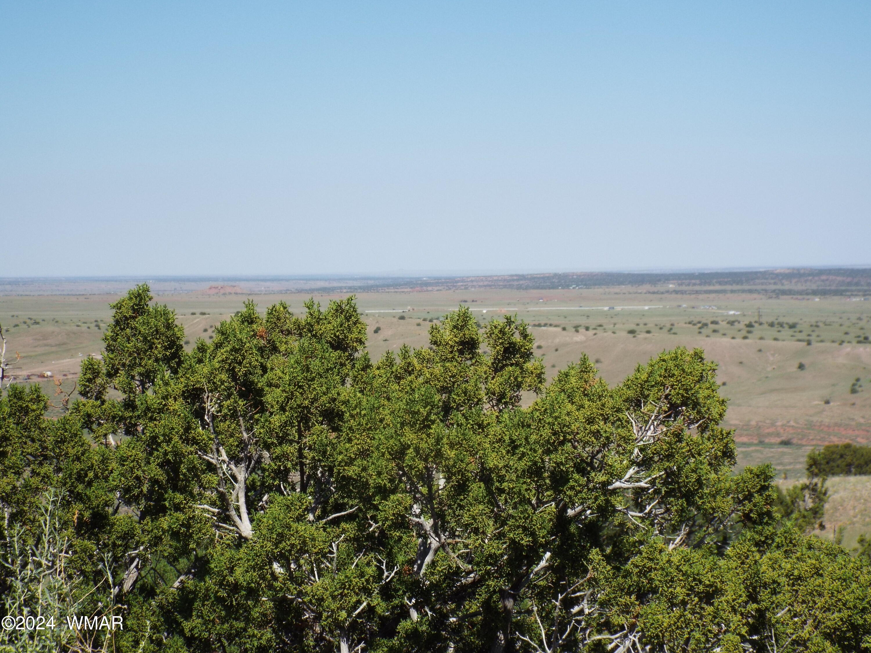 2 County Road Concho, AZ 85924 - Photo 27 of 35 DSCF2979