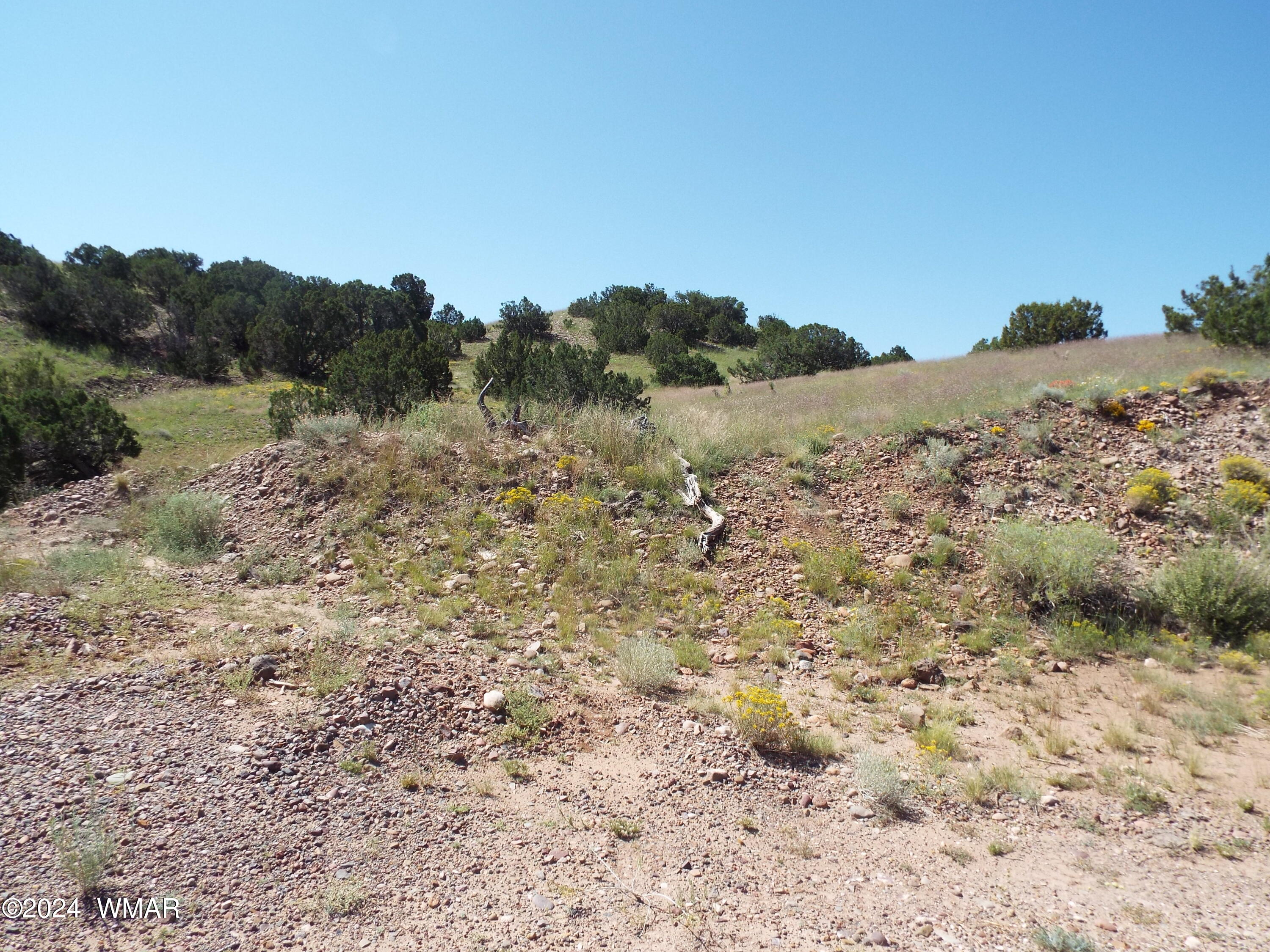 2 County Road Concho, AZ 85924 - Photo 28 of 35 DSCF2981