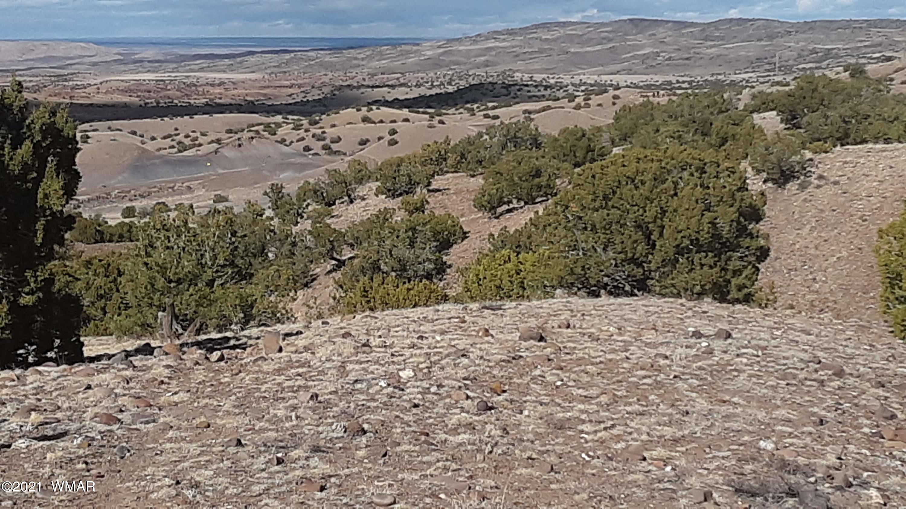 2 County Road Concho, AZ 85924 - Photo 5 of 35 20210309_151737