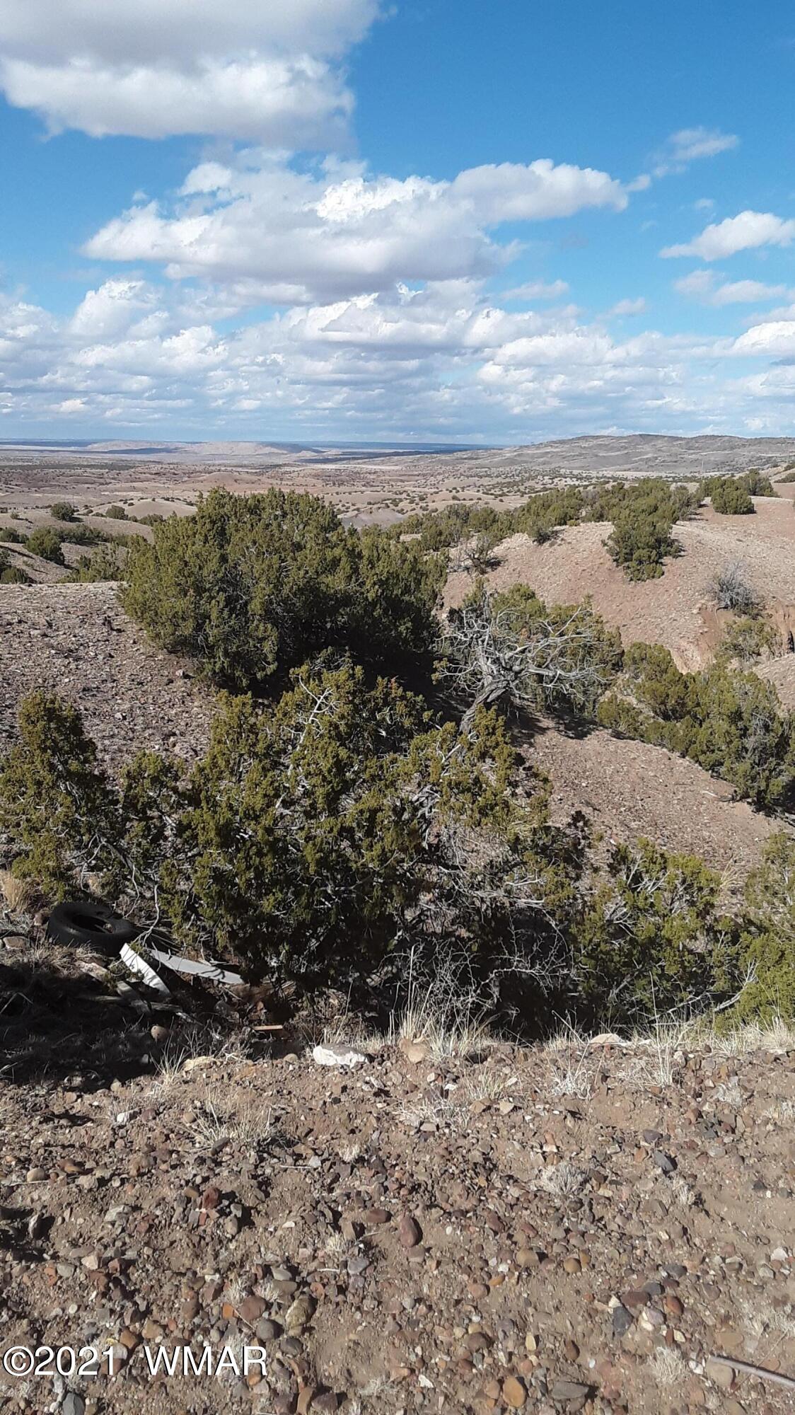 2 County Road Concho, AZ 85924 - Photo 7 of 35 20210309_151608