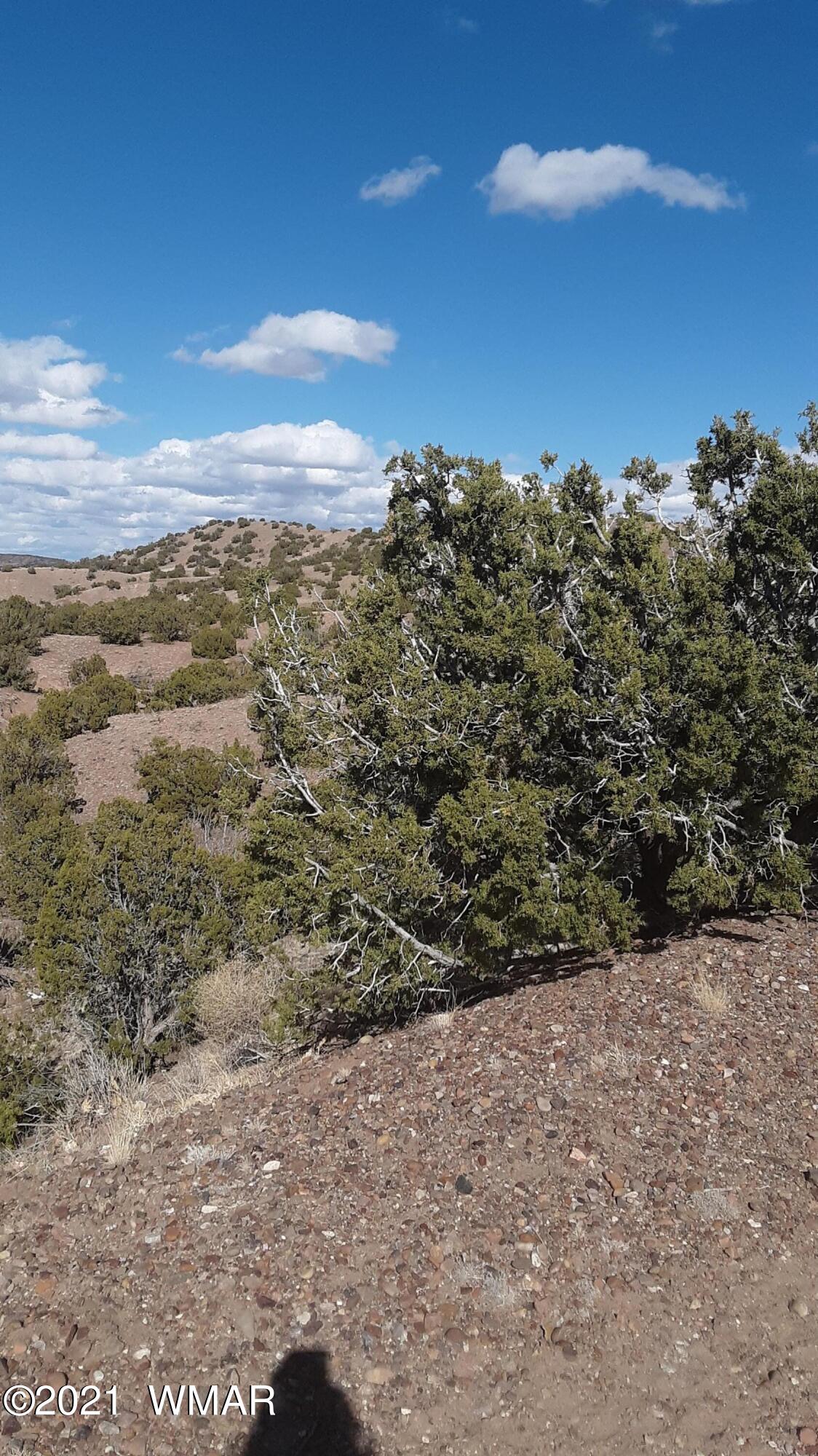 2 County Road Concho, AZ 85924 - Photo 8 of 35 20210309_151613