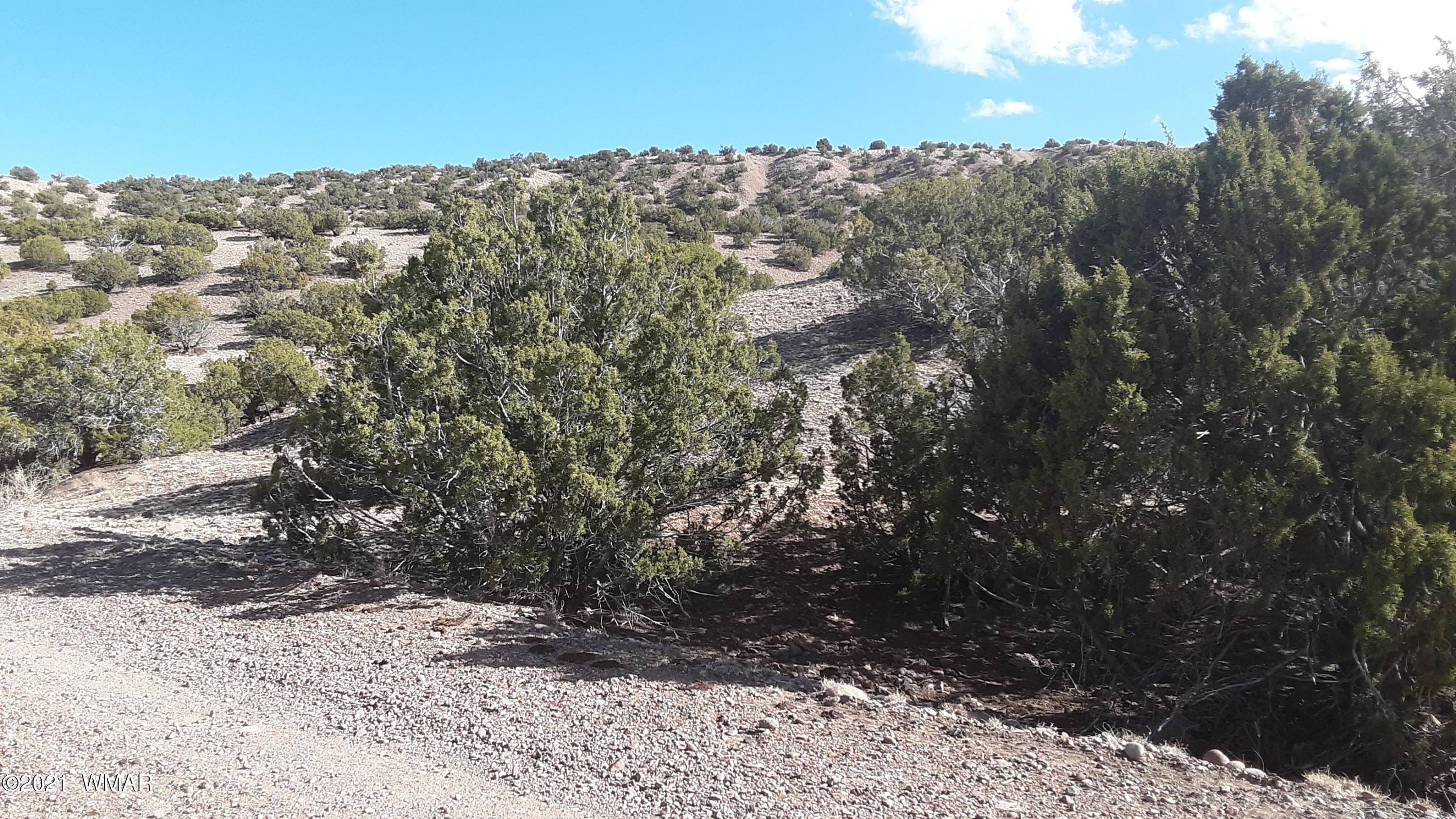 2 County Road Concho, AZ 85924 - Photo 9 of 35 20210309_151621 (1)