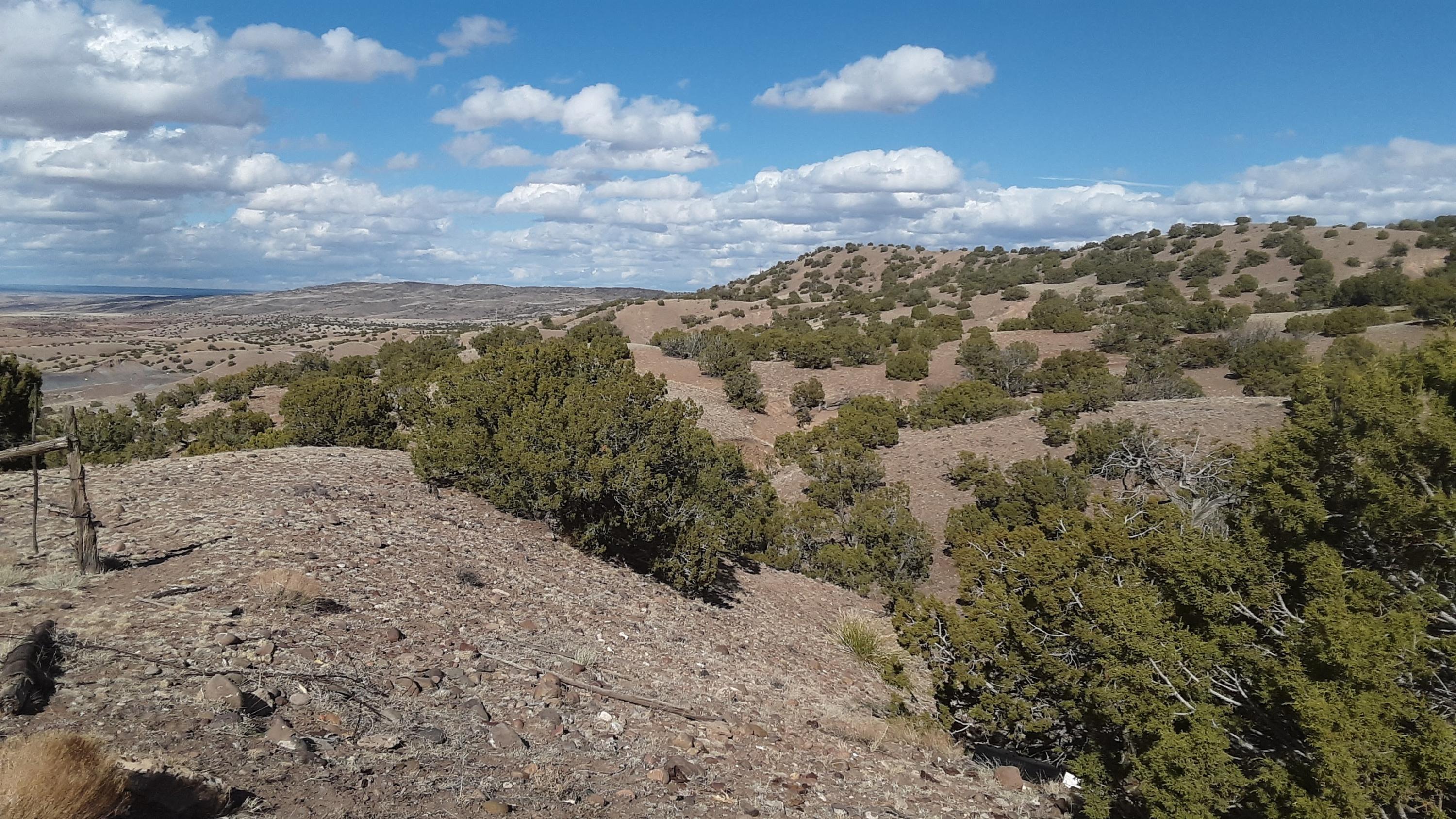 2 County Road Concho, AZ 85924 - Photo 10 of 35 20210309_151649