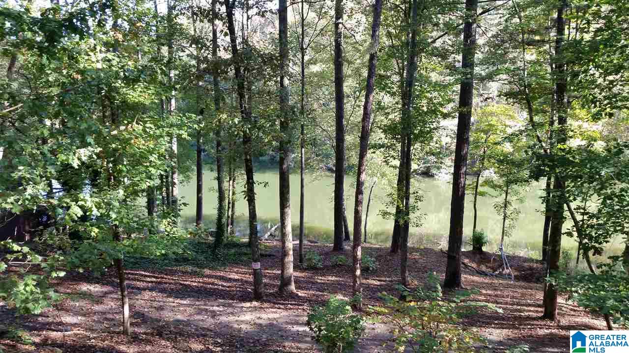 191 County Road 929 Delta, AL 36258 - Photo 5 of 22