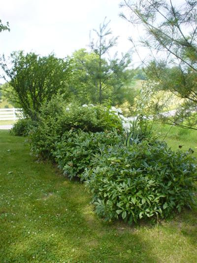 1400 Elliston Mt Zion Road Dry Ridge, KY 41035 - Photo 6 of 8