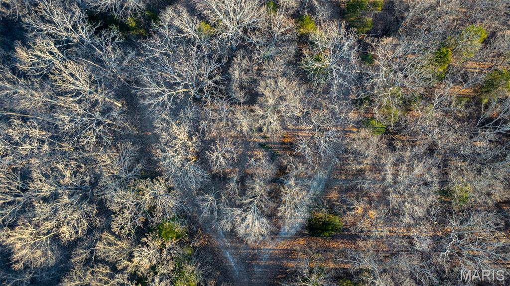 0 Flucom East Road Festus, MO 63028 - Photo 11 of 83