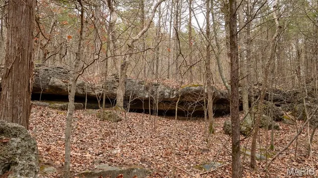 $1 | 0 Flucom East Road, Festus, MO 63028