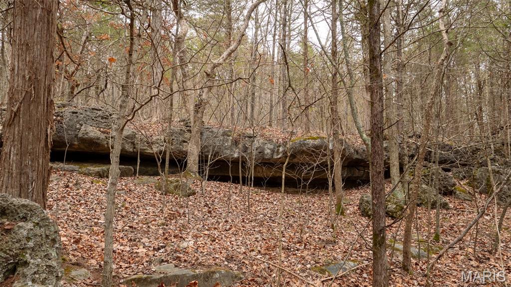 0 Flucom East Road Festus, MO 63028 - Photo 13 of 83