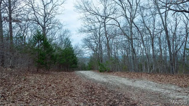 $1 | 0 Flucom East Road, Festus, MO 63028