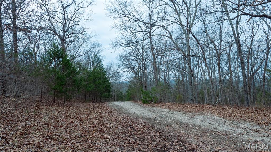 0 Flucom East Road Festus, MO 63028 - Photo 15 of 83