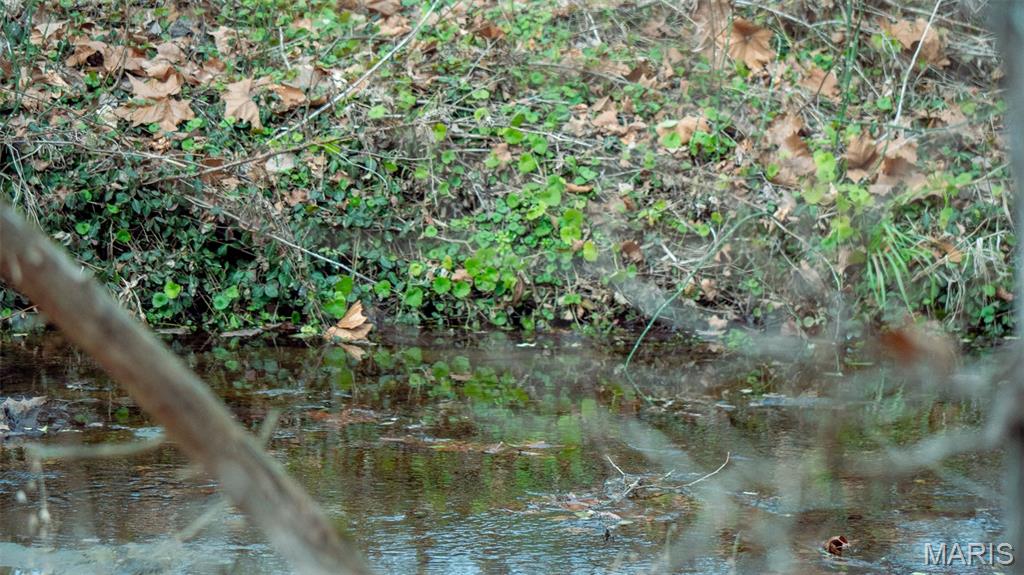 0 Flucom East Road Festus, MO 63028 - Photo 16 of 83