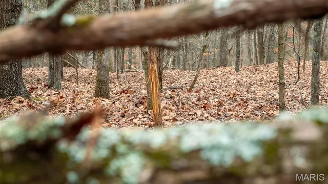 $1 | 0 Flucom East Road, Festus, MO 63028