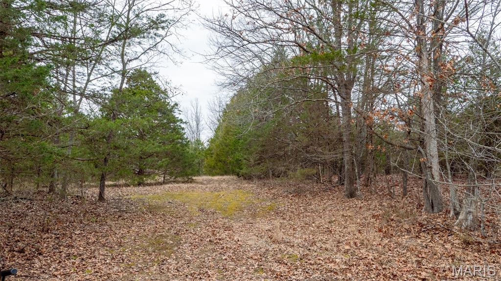 0 Flucom East Road Festus, MO 63028 - Photo 19 of 83