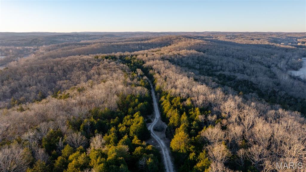 0 Flucom East Road Festus, MO 63028 - Photo 2 of 83