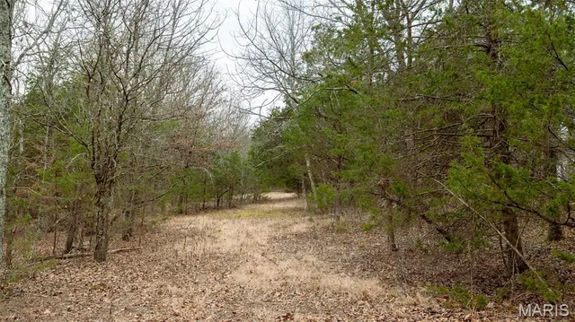 $1 | 0 Flucom East Road, Festus, MO 63028