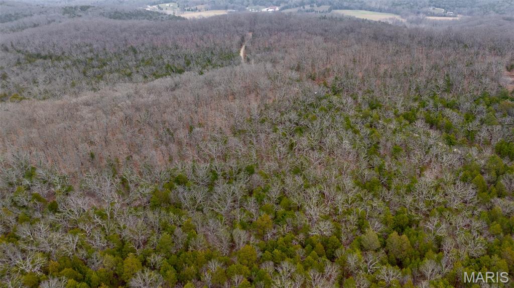 0 Flucom East Road Festus, MO 63028 - Photo 23 of 83