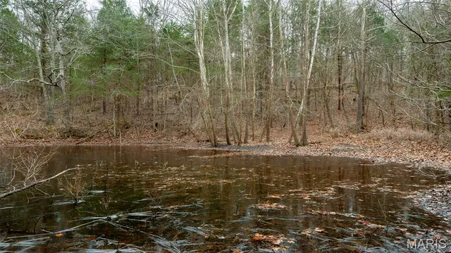 $1 | 0 Flucom East Road, Festus, MO 63028