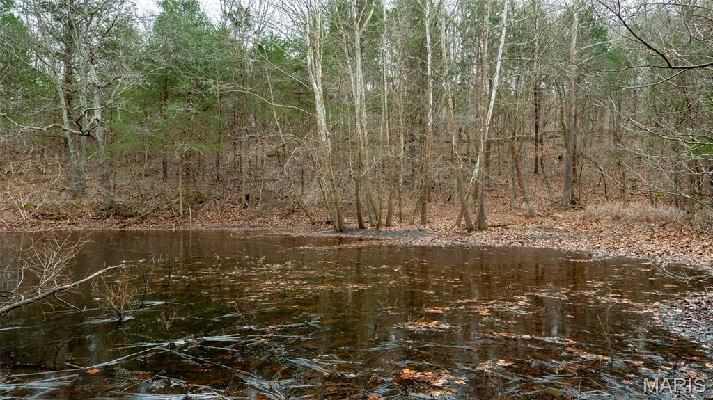 0 Flucom East Road Festus, MO 63028 - Photo 24 of 83