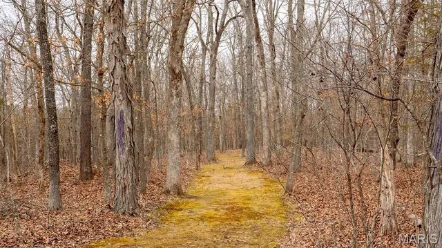 $1 | 0 Flucom East Road, Festus, MO 63028