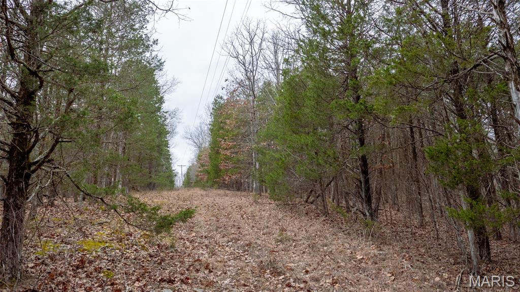 0 Flucom East Road Festus, MO 63028 - Photo 27 of 83