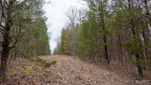 $1 | 0 Flucom East Road, Festus, MO 63028