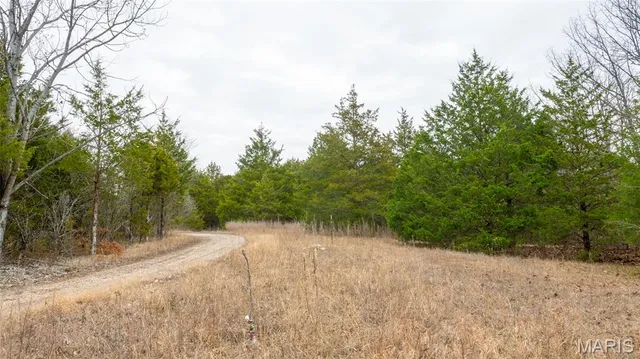 $1 | 0 Flucom East Road, Festus, MO 63028