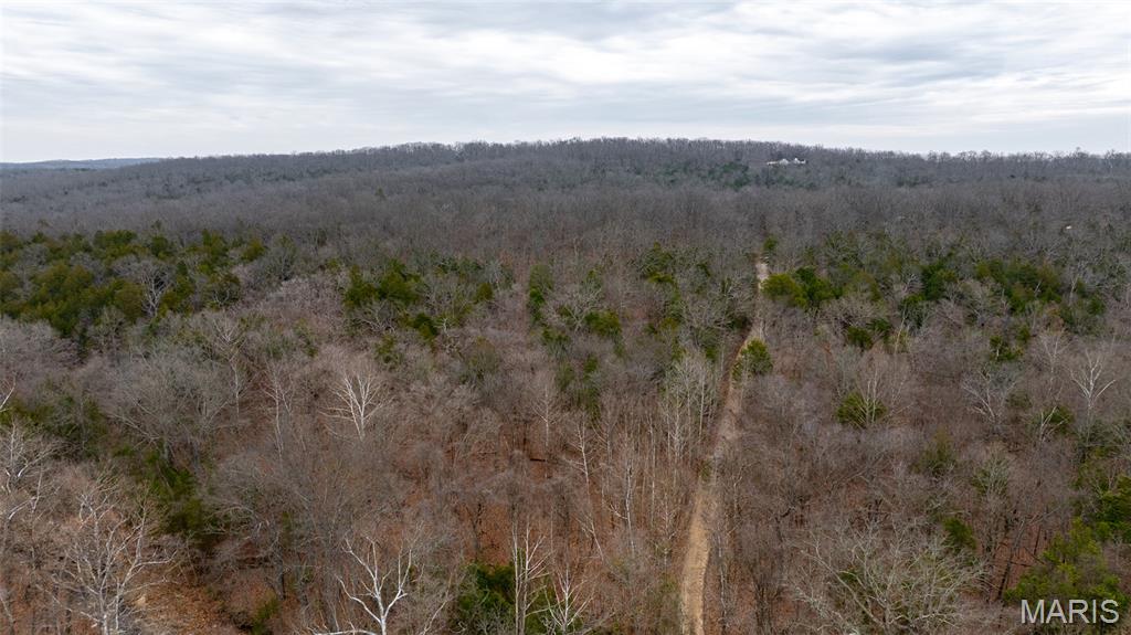 0 Flucom East Road Festus, MO 63028 - Photo 31 of 83