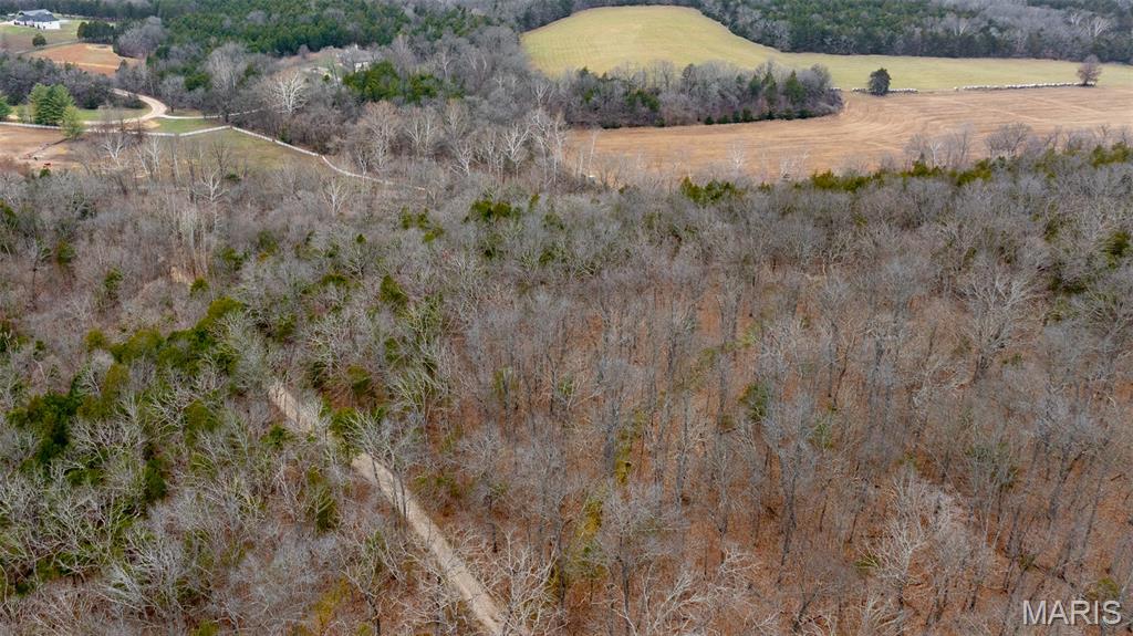 0 Flucom East Road Festus, MO 63028 - Photo 32 of 83