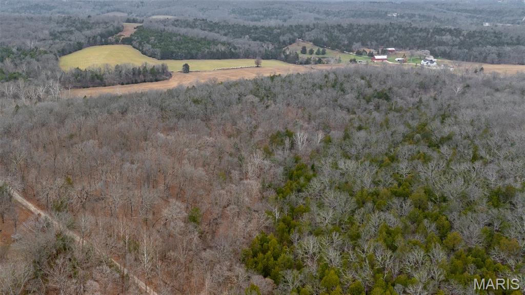 0 Flucom East Road Festus, MO 63028 - Photo 33 of 83