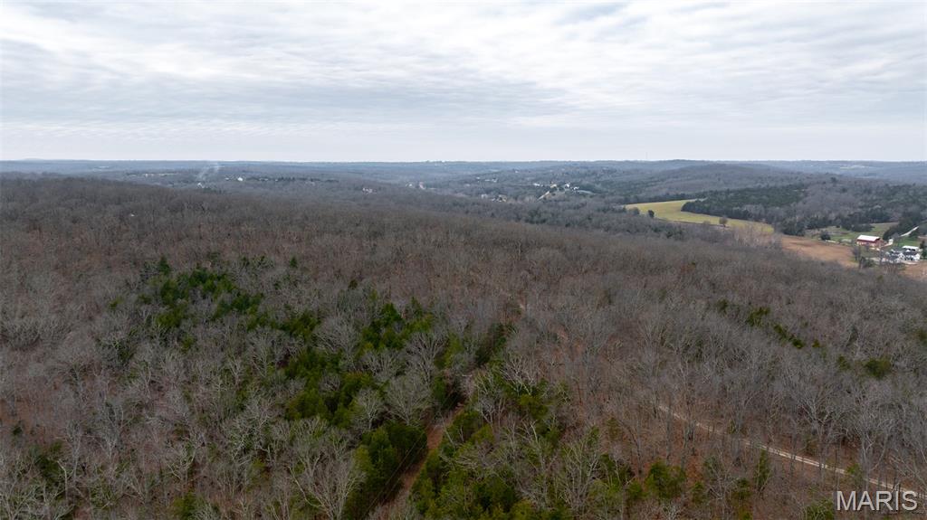 0 Flucom East Road Festus, MO 63028 - Photo 34 of 83