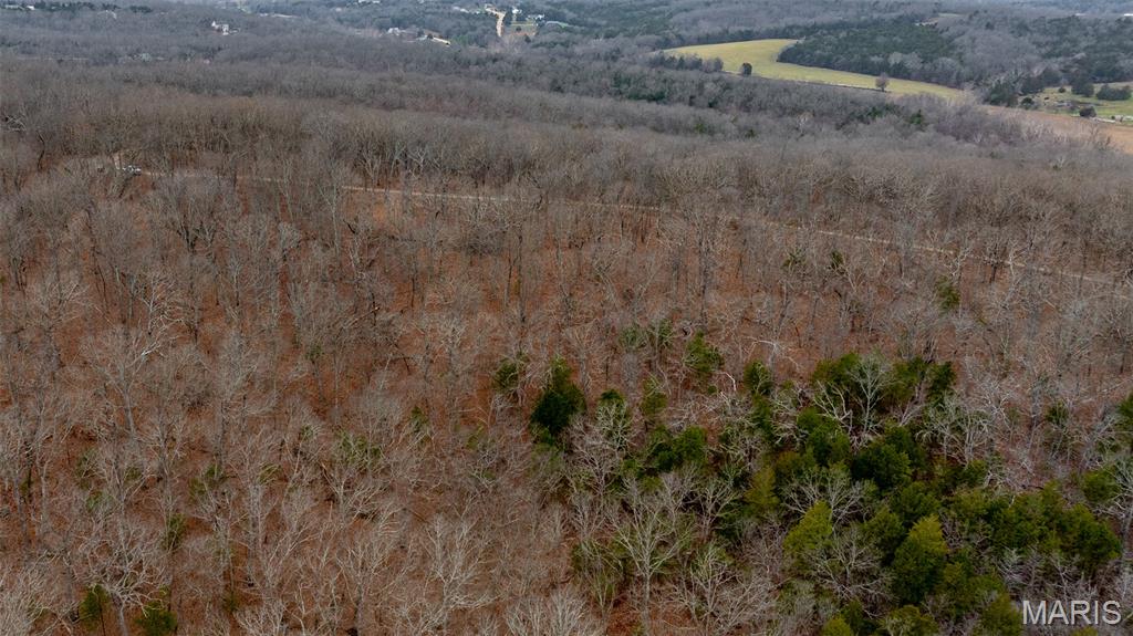 0 Flucom East Road Festus, MO 63028 - Photo 35 of 83