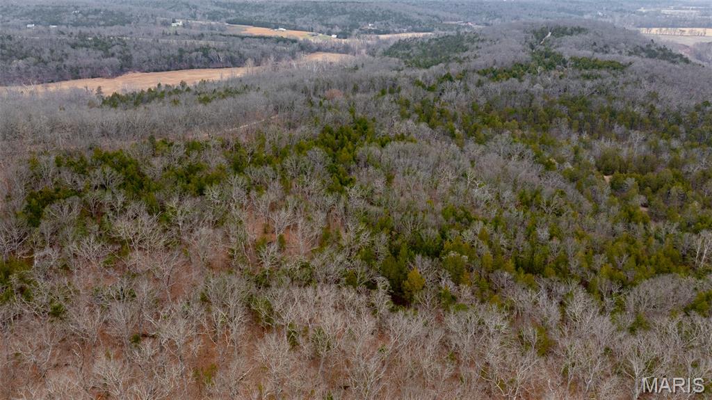 0 Flucom East Road Festus, MO 63028 - Photo 36 of 83