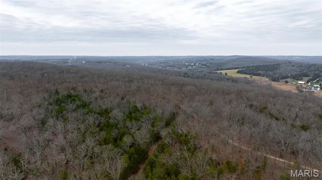 $1 | 0 Flucom East Road, Festus, MO 63028